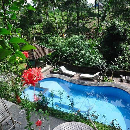 纱丽吉万吉小屋酒店 乌布 外观 照片