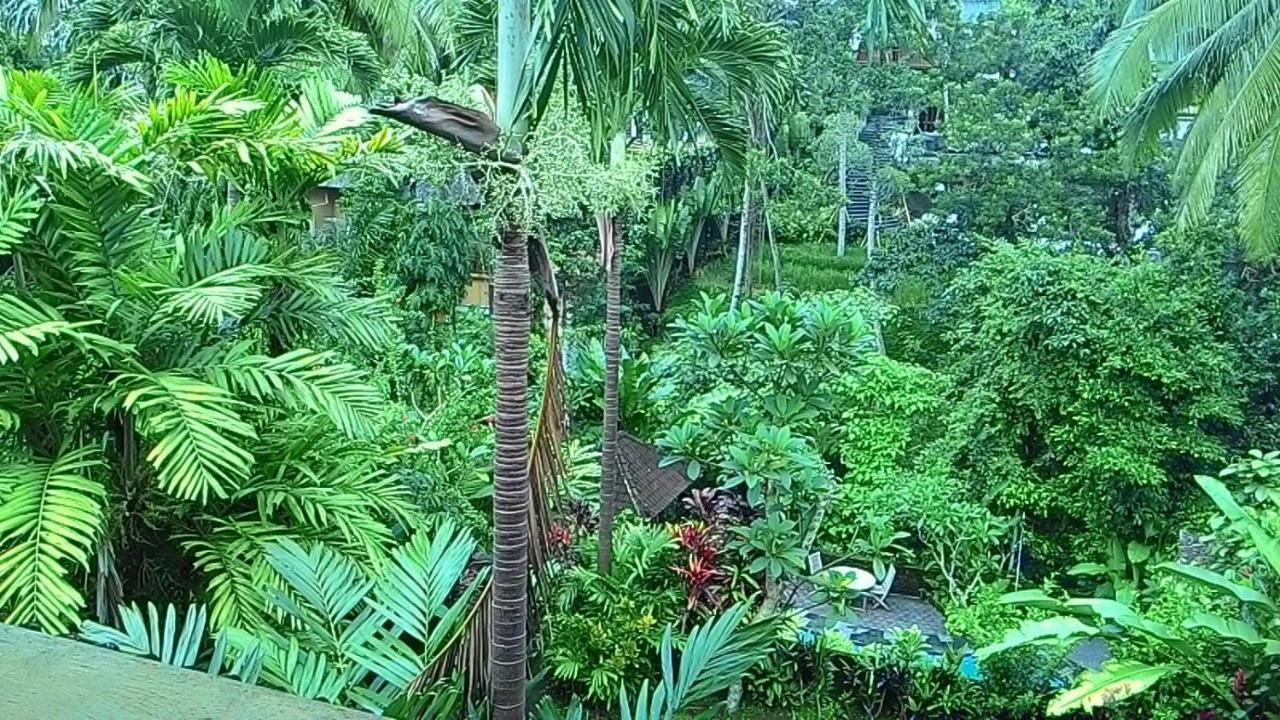 纱丽吉万吉小屋酒店 乌布 外观 照片
