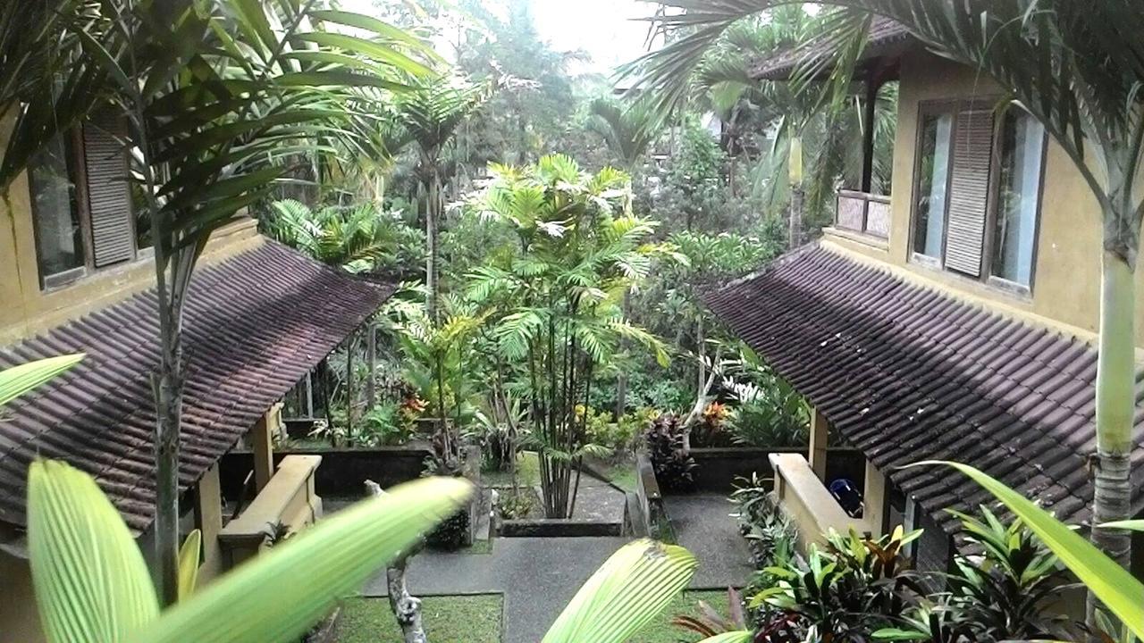 纱丽吉万吉小屋酒店 乌布 外观 照片