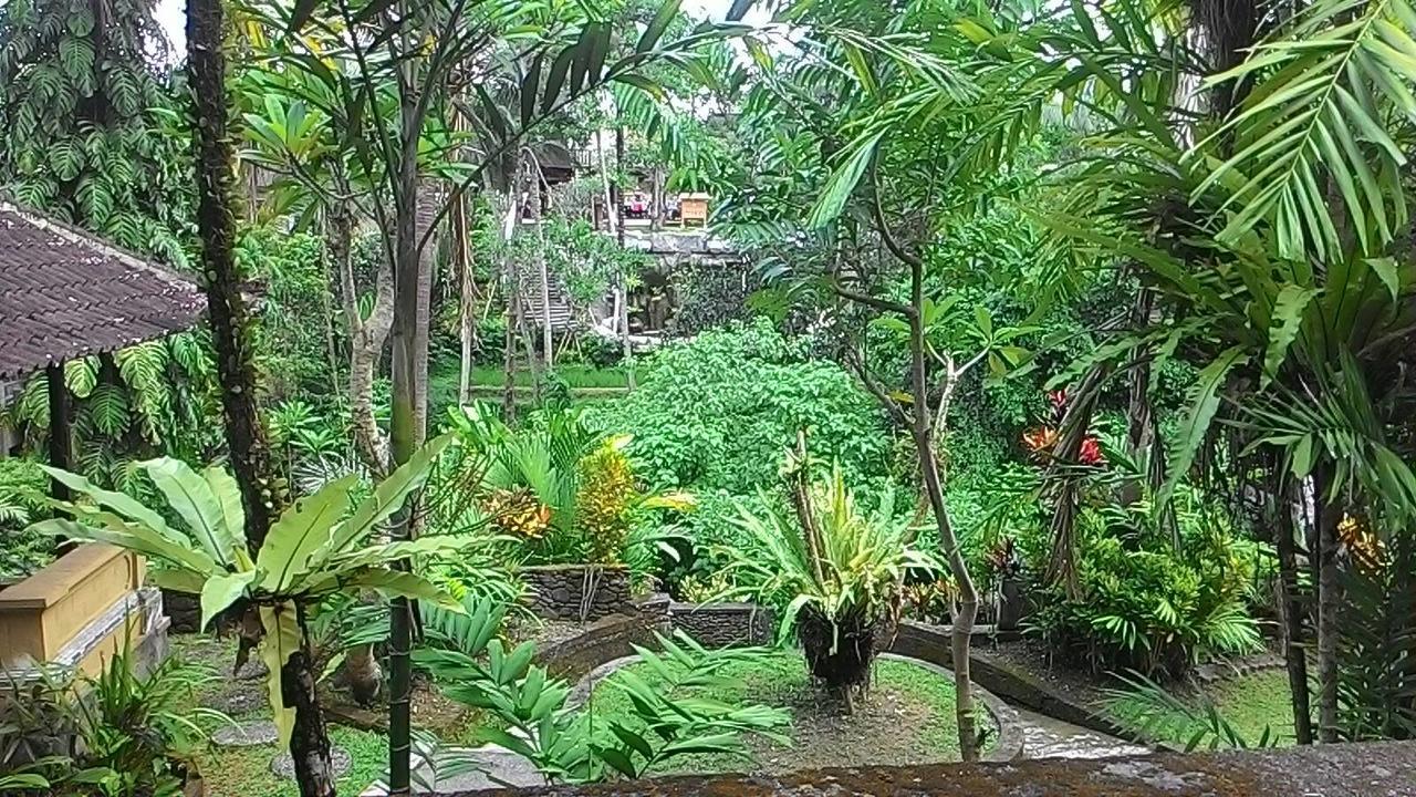 纱丽吉万吉小屋酒店 乌布 外观 照片